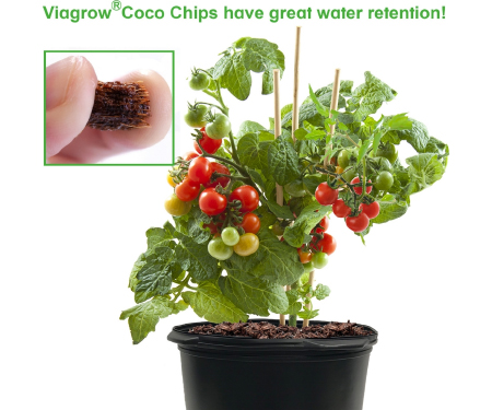 G125 VRCC5060